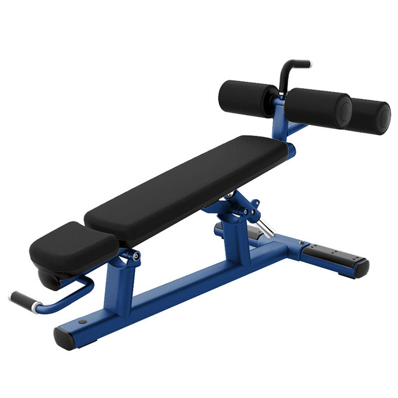 Banco comercial: banco de ejer - Home Gym Dumbbell Workout reseña y precio