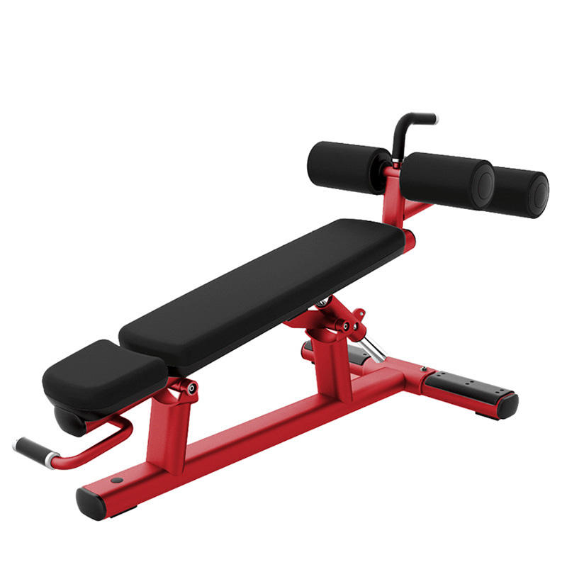 Banco comercial: banco de ejer - Home Gym Dumbbell Workout reseña y precio