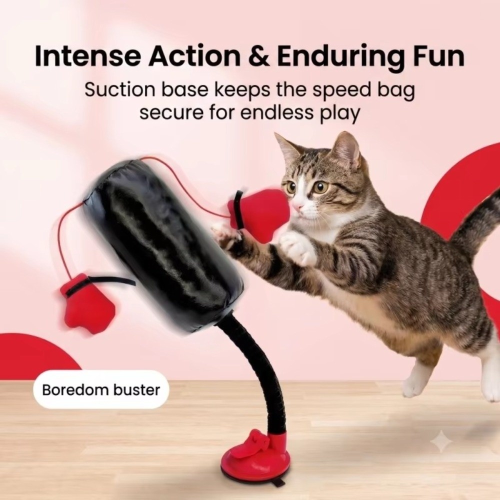 Juguete de boxeo para gatos co - Boxing Bag Stand reseña y precio
