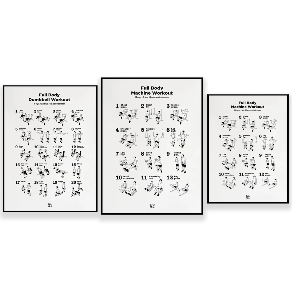 (Pintura en lienzo 2D) Póster  - Home Gym Dumbbell Workout reseña y precio