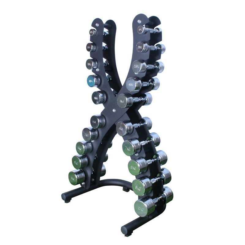 Paquete de 2 mancuernas de ace - Home Gym Dumbbell Workout reseña y precio