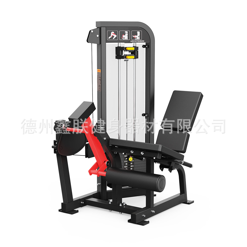 Equipo de Gimnasio Hammer Stre - Home Gym Hammer Strength reseña y precio