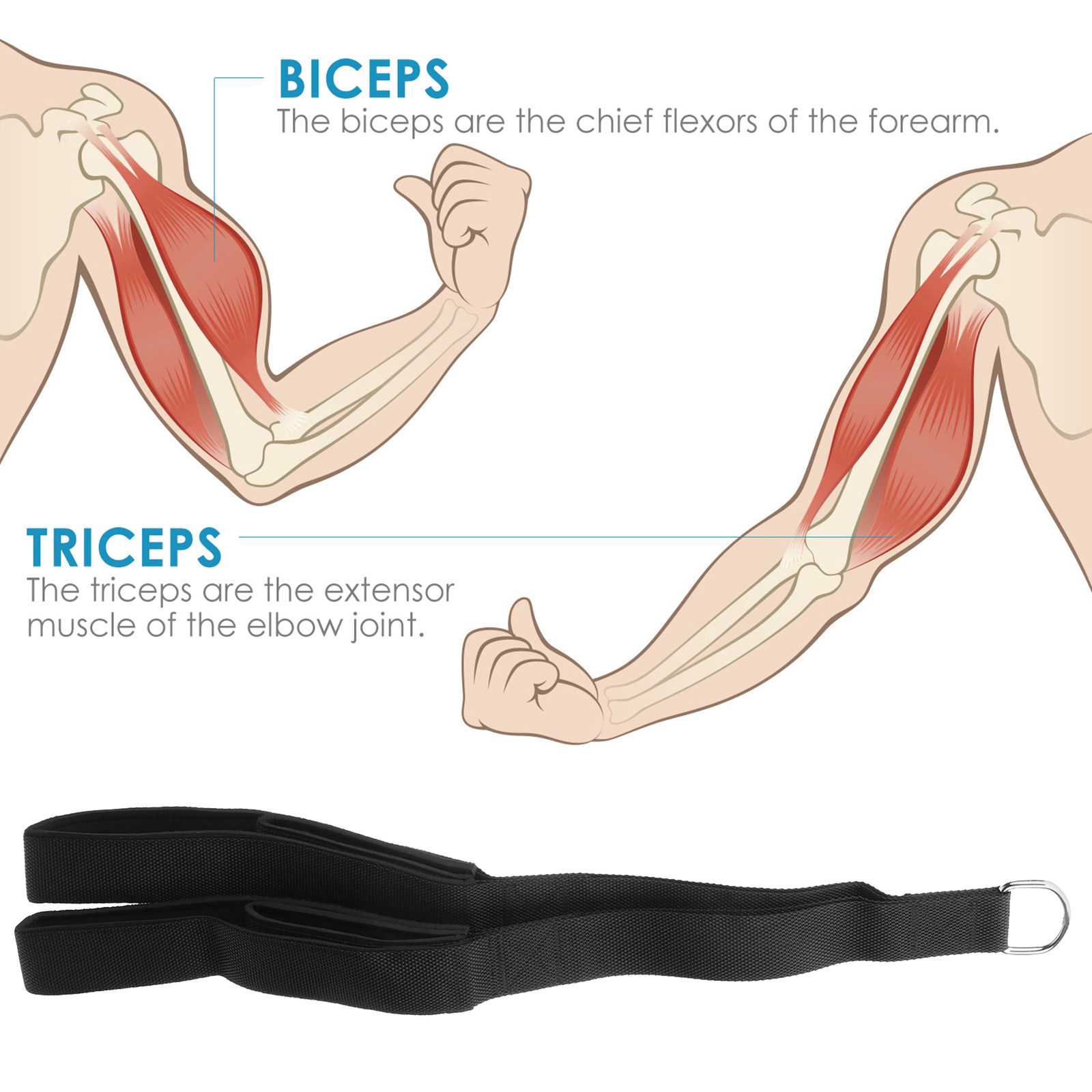 Cuerda de Tracción Tríceps de  - Home Gym Hammer Strength reseña y precio