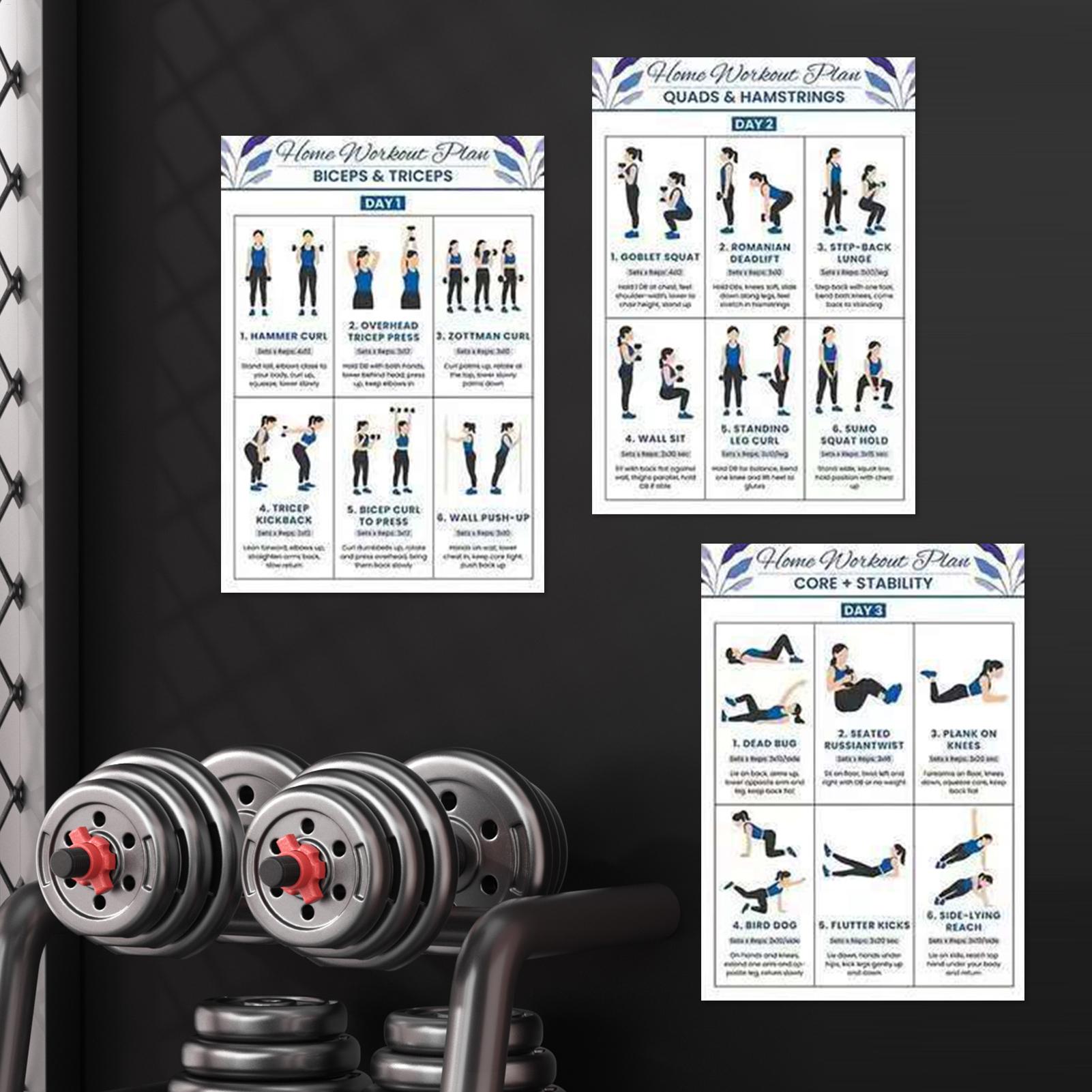 Póster de entrenamiento de est - Home Gym Dumbbell Workout reseña y precio