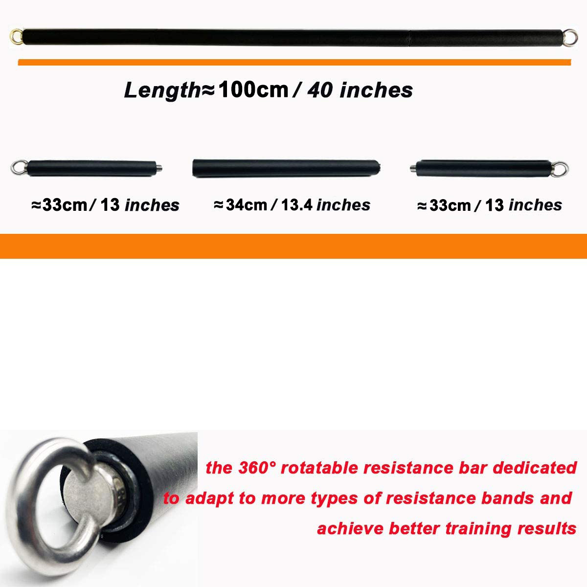Banda elástica de resistencia  - Home Gym Dumbbell Workout reseña y precio