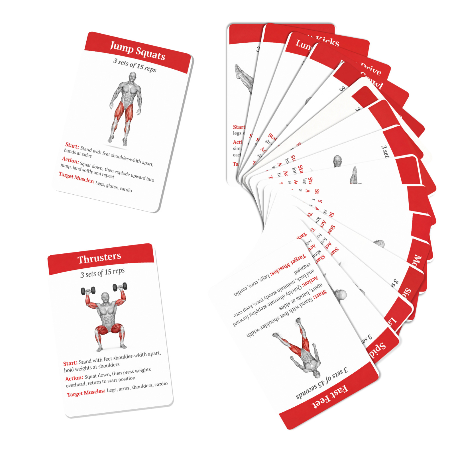 36 tarjetas de guía de entrena - Home Gym Full Setup reseña y precio